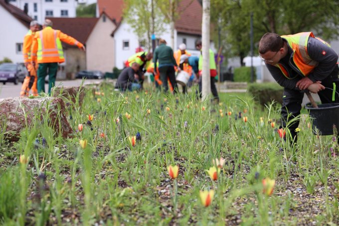 Mitarbeitende der „Natur nah dran“-Kommunen bei einer Schulung zur Flächenpflege. – Foto: NABU/K. Wörner