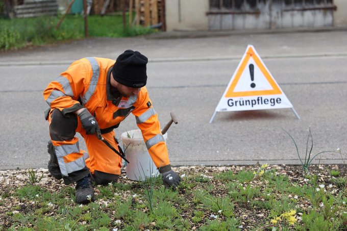 Mitarbeiter einer „Natur nah dran“-Kommunen bei einer Schulung zur Flächenpflege. – Foto: NABU/K. Wörner